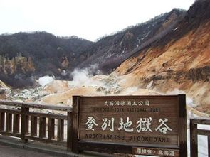 日本长野地狱谷雪猴子泡温泉成景点 信息阅读欣赏 信息村 K0w0m Com