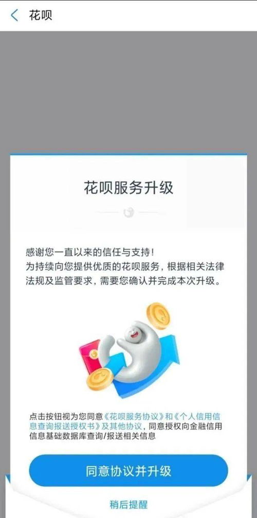 孝心信用卡有什么权益(光大孝心信用卡)