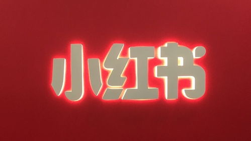 小红书上线视频号 支持最长15分钟视频,加速内容视频化 