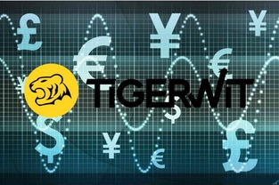 想在TigerWit老虎外汇上炒外汇，开设账户后，资金可以用人民币转入吗？