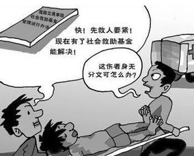 我可以向公司索要什么赔偿？