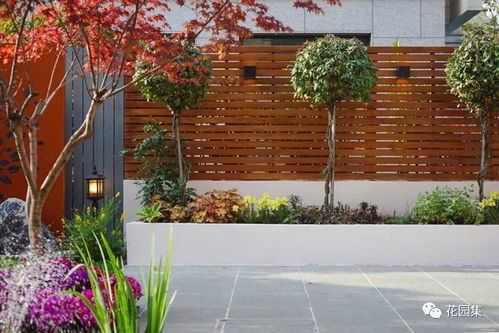 园集奖优秀作品 为花园做减法,用线条勾勒出一个现代简约花园