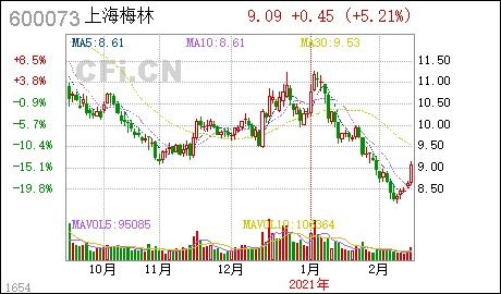 上海梅林600073未来股价如何