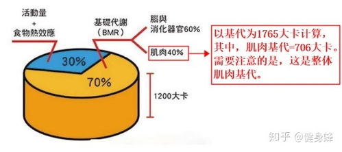 基础代谢率名词解释 基础代谢多少是正常的？ 