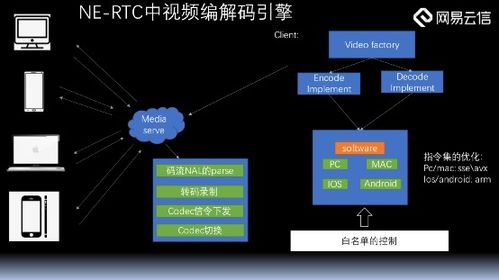 查重平台制作全攻略：从技术到优化