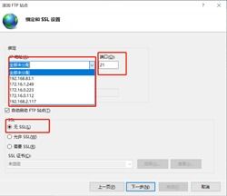 如何使用win10自带的ftp服务器吗