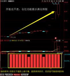 满仓操作如何看待？