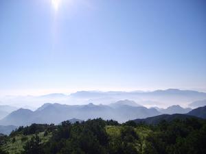 大盘山国家级自然保护区 搜狗百科 