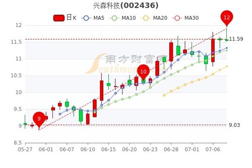 兴森科技股票属于那类股