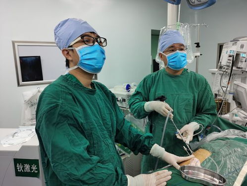 内蒙古人民医院成功施救复杂性尿路结石患者