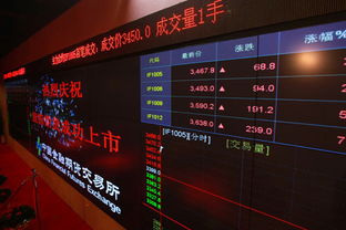 中国 指数基金 股指期货
