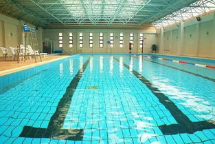 上海各区颇具人气的30家室内游泳馆