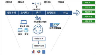 OA可以提高项目管理流程效率吗 有哪些免费的OA平台 (钉钉对接OA服务器免费)