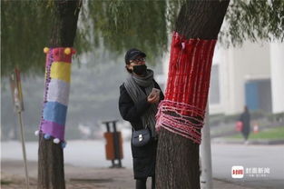 郑州一女大学生为树木手织新毛衣 多彩毛衣惹关注 组图