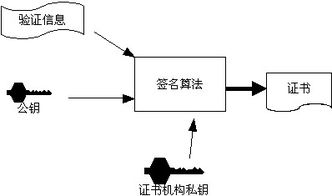 基查重背后的算法原理，你真的了解吗？