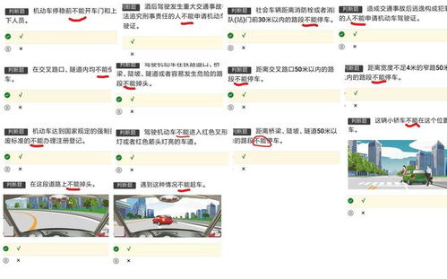 科一怎么学习,大神教你3小时通过,望相互告知