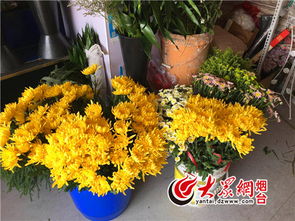 清明节临近菊花 走俏 文明祭祀成新风尚 烟台生活 