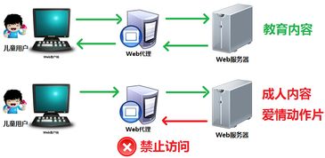 如何使用代理服务器上网 (免费ip代理服务器怎么安全上网)