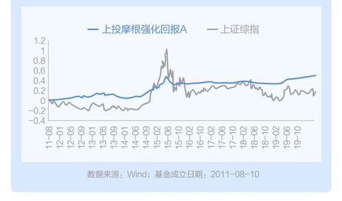 大家觉得洪建国股票投资分析能力怎么样？