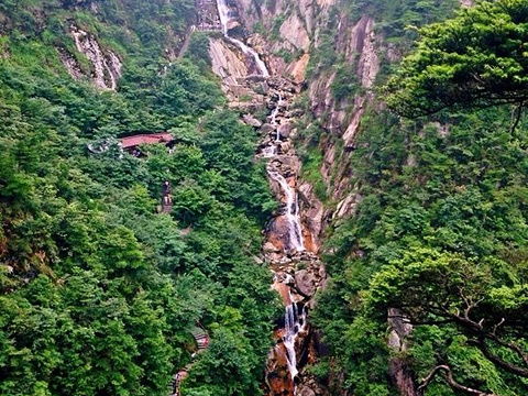 2019大明山景区 旅游攻略 门票 地址 问答 游记点评,大明山旅游旅游景点推荐 去哪儿攻略 