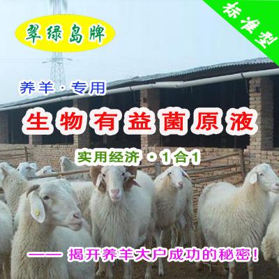 养羊喂什么 放养羊和圈养羊饲料问题 