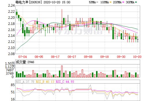 200539 粤电力B 的行情怎么样 能跑了么?