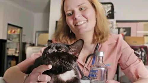 猫咪误喝防冻液要用酒精解毒,一瓶伏特加灌下去变醉猫