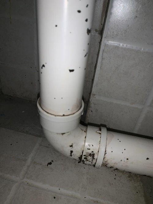 这种水管的连接怎么拆 