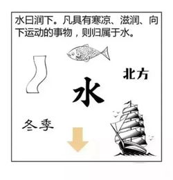 图解 八字 与阴阳五行的关系