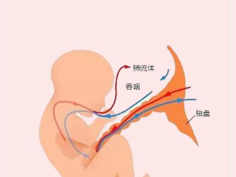 羊水正常指数是多少？