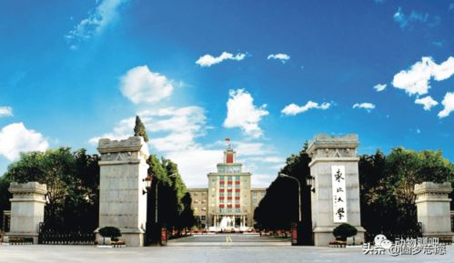 东北大学是什么水平 东北大学在985大学中水平怎么样东北大学是双一流A类吗