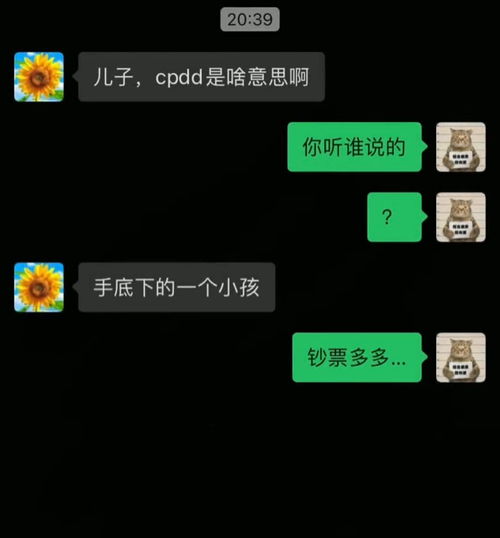 cpdd沙雕解释