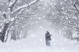 如何把雪景拍得更美