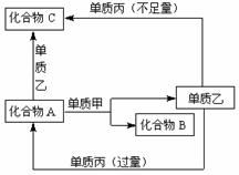 多糖，脂质，蛋白质，核酸，相对分子质量较小的是哪个