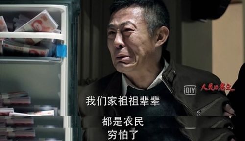 以 人民的名义 推荐 豆瓣评分9.1神剧