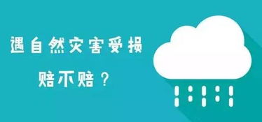 今天开始万江车主有福了 新快处快赔点启用,6种不赔意外现在赔