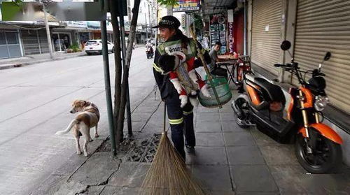 泰国28岁女清洁工爆红,只因每天背着狗狗上班,只因担心狗狗寂寞