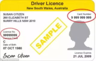 因假驾照被取消澳公民身份 移民局联合路局彻查,华人是重灾区