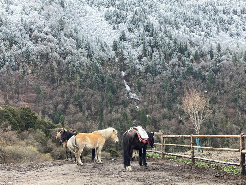 旅游风光分享 到山里去 