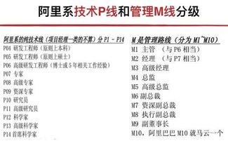 马云的团队很疯狂,没想到他们的薪资制度更疯狂