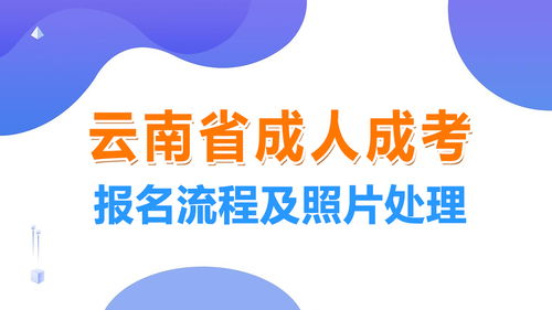 全国高考网上报名入口官网 (全国高考报名网站登录首页)