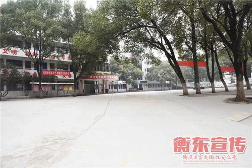 2021金华因台风可就近路边免费停车 免费停车点(各县停车场免费停车位数量)