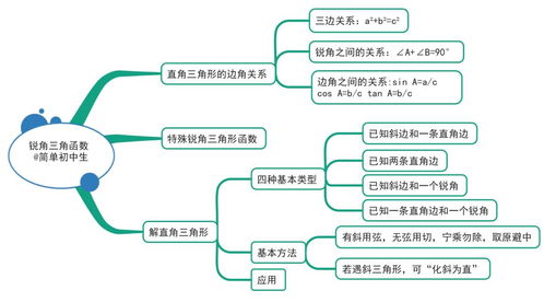 初中各科思维导图汇总 涵盖3年各科所有知识点,建议人手一份