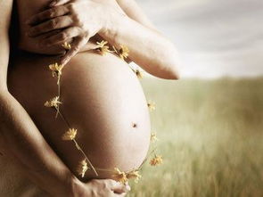 二胎时代,高龄女性备孕生男孩 注意安全最重要