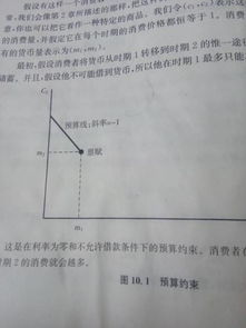 微观经济学 这些图中的禀赋的含义是什么啊 