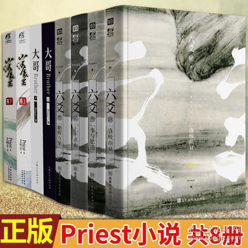 现货正版 山河表里新版 大哥上下 六爻1234 共8册 Priest著 priest 镇魂六爻默读作者小说青春文学天宝伏妖录哑舍同类AWM绝地求生