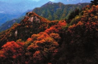 一重山二重山山远天高枫叶丹 