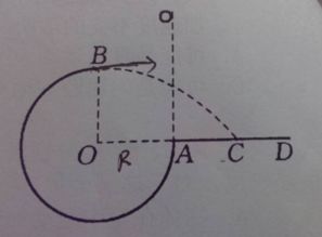 数学上的t代表什么