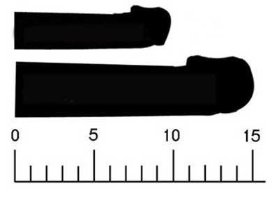如何科学正确测量丁丁的大小？(丁丁长度的正确测量方法)