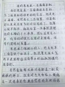 他哭了优秀范文300字_他哭了因为鞭炮炸了作文？